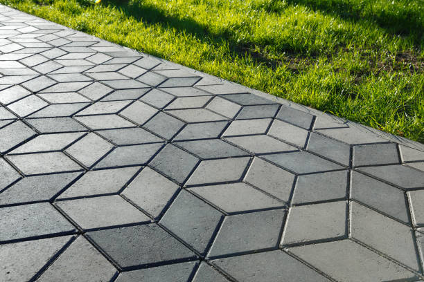 Best Residential Paver Driveway  in Reno, NV