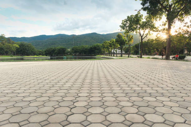 Professional Driveway Pavers in Reno, NV